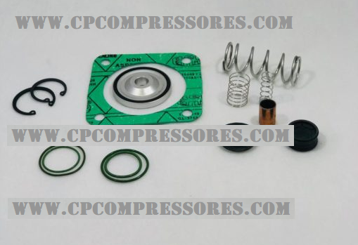 Reparo da  válvula de admissão SIMILAR - COD.2901007900 - 2901-0079-00  2200900950