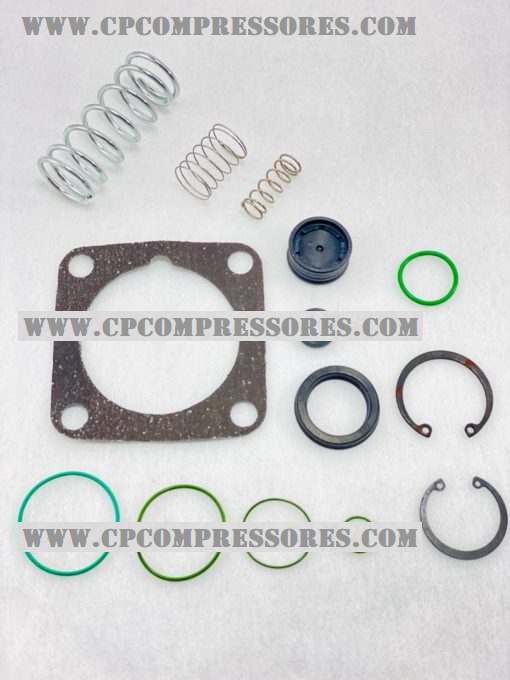 Reparo da válvula de admissão  SIMILAR  S5-S7-GX7-GX11  - COD. 2901039850 – 2901029801  2901029800